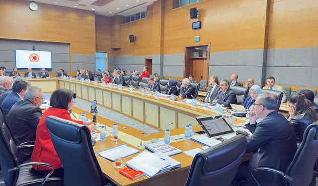 Engelli Bireylerin Sorunlarını Araştırma Komisyonu toplandı