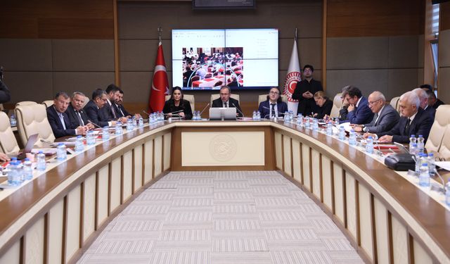 TBMM Engeli Bireylerin Sorunlarını Araştırma Komisyonu toplandı; 33 çocuktan 1'i otizm tanısı alıyor