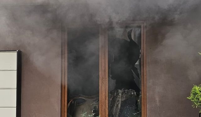 Villadaki yangında mahsur kalan kediyi itfaiye kurtardı