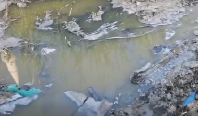 Mersin’de Fabrika Atıkları Çevreyi Zehirliyor