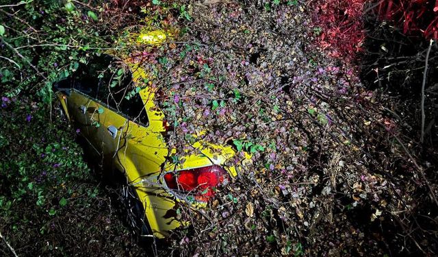 Mersin’de Otomobilin Üzerine Ağaç Devrildi