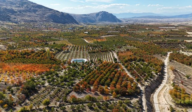 Çaylı Barajı'nda sona gelindi