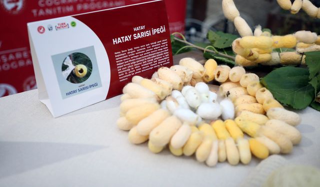 Hatay'ın coğrafi işaretli ürün sayısı, 7 yeni tescille 57'ye çıktı