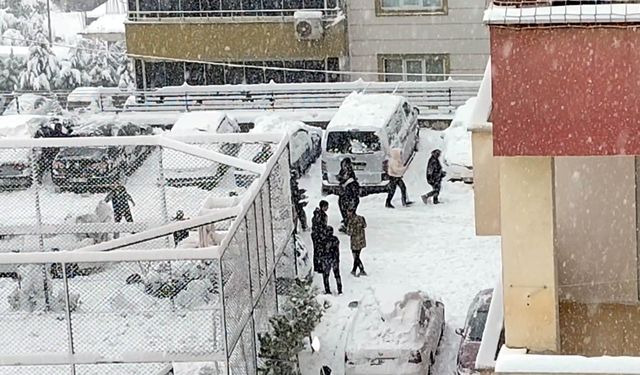 Kar yağışını, müzik eşliğinde oynayarak kutladılar