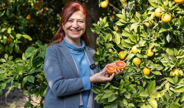 Mersin'in kan portakalı coğrafi işaret tescilini aldı