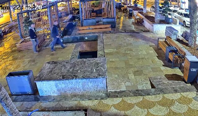 Parkta, büyük saksıdaki ağacı otomobilin bagajına koyup çaldılar