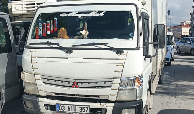 Yaya geçidinde kamyonet çarptı