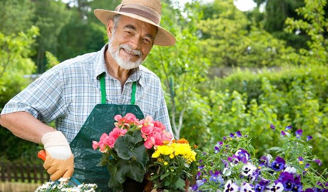 Mersin Bahçıvan Arayanlar İçin Rehber