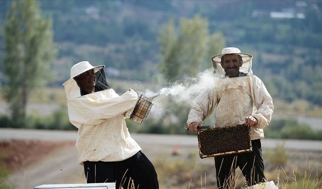 Mersin Arıcıları Bal Sezonuna Hazır mı?