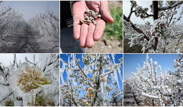 Meteoroloji Uyardı: Doğu Akdeniz’de Kuvvetli Don Geliyor