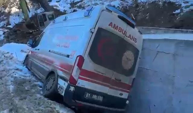Adana'da  ambulans şarampole düştü