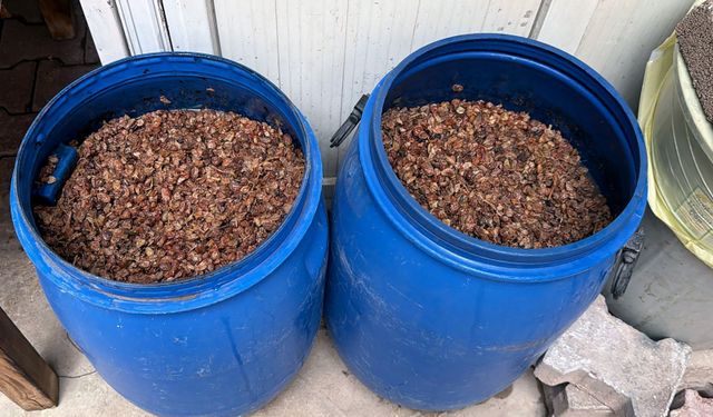 Adana'da kaçak sigara ve sahte içki operasyonu: 8 gözaltı