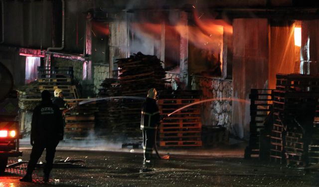 Adana'da parke ve panel üretilen fabrikada yangın