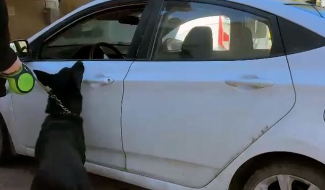 Adanada  66 bin 600 uyuşturucu ele geçirildi