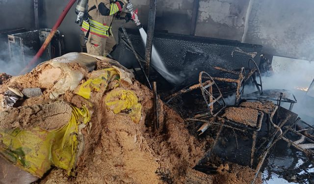 Binanın çatı katında çıkan yangın söndürüldü