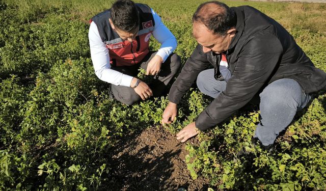 Osmaniye'de Don kontrolü