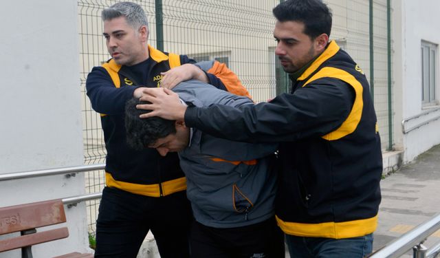 Kamyonetiyle kediyi ezen sürücüye 1 ay hayvan barınağında çalışma cezası