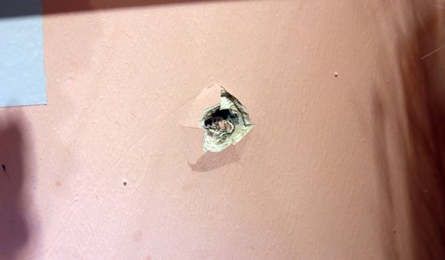 Mağazasına silahlı saldırı düzenlenen kadın: İşimi, çevremi kaybetmek istemiyorum