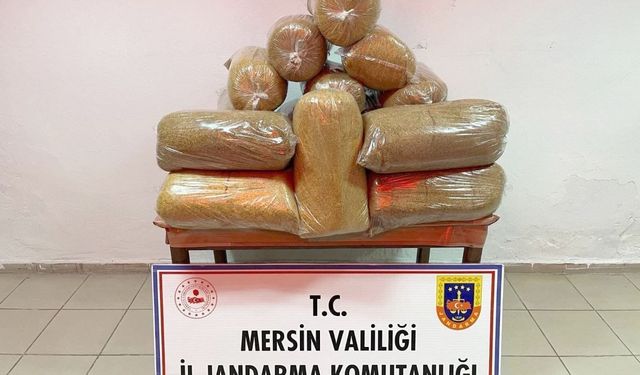 Mersin'de kaçak tütün operasyonu