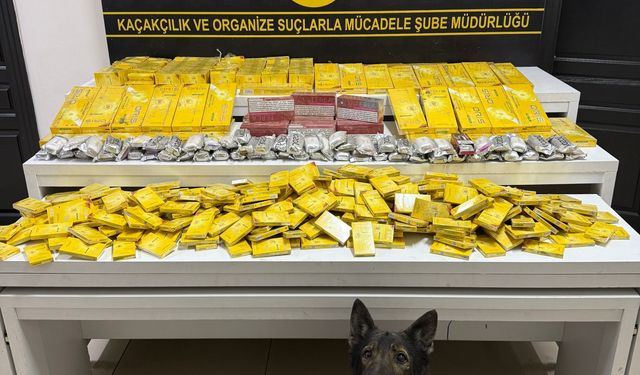 Mersin'de kaçakçılık operasyonunda 1 tutuklama