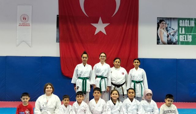 Osmaniye'de ücretsiz karate eğitimi Nasıl Alınır?