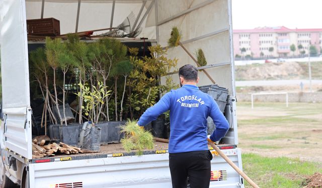Mersin Toroslar'da ağaçlandırma seferberliği