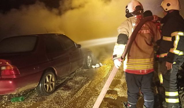 Yayladağı'nda otomobil yandı