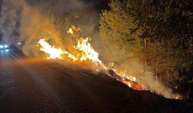 Yol kenarında çıkan yangın, ormana sıçradı