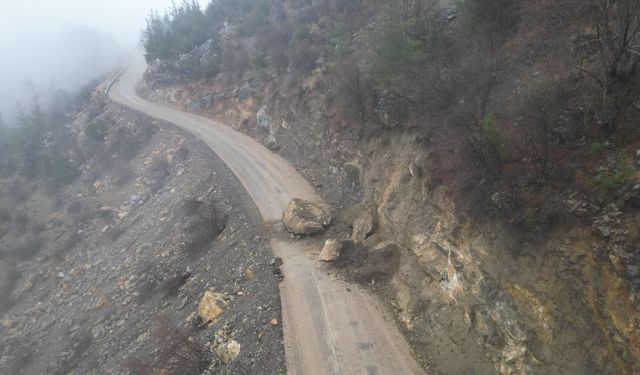 Yola düşen kaya, ulaşımın durmasına neden oldu