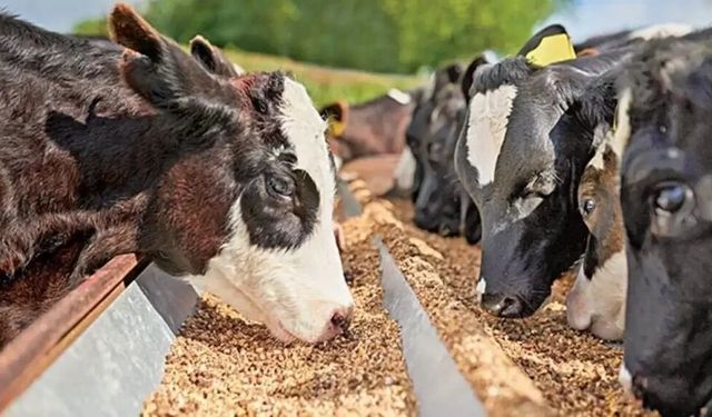 Yemde Vergi Şoku - Çiftçi Daha Zam Gelmeden Endişelendi