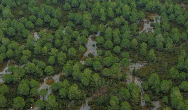 Antalya'da hortum sonrası enkaz kaldırılıyor; su ise çekilmedi