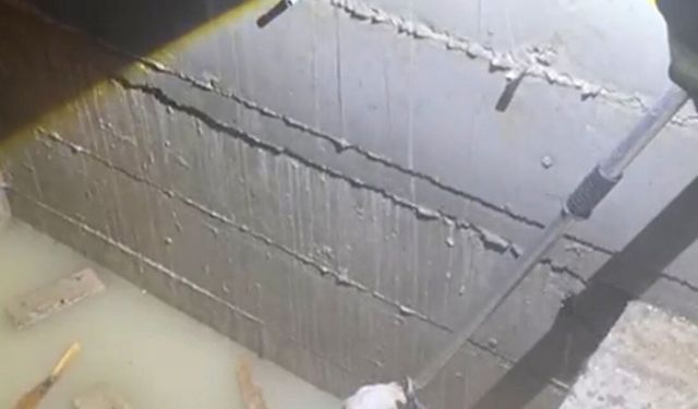 Asansör boşluğuna düşen köpek kurtarıldı