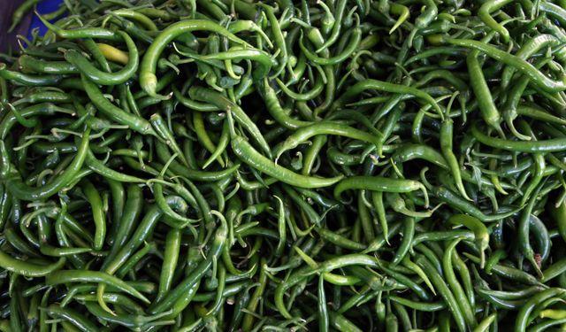 Batı Akdeniz'de ocak ayında yaş meyve sebzede ihracat şampiyonu, 'biber'