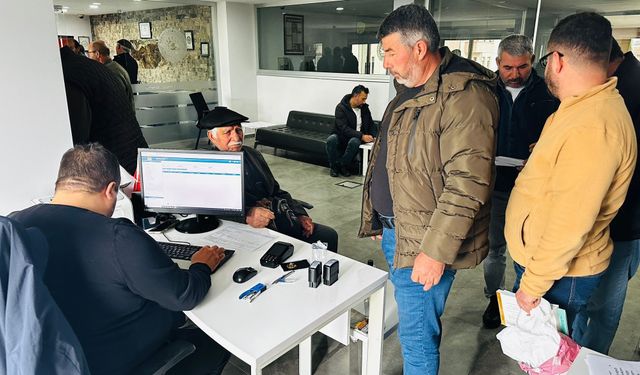 Erdemli'de depodaki limon miktarı kayıt altına alınıyor