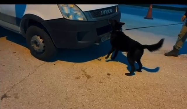 Hatay'da 11 kilo 200 gram skunk ele geçirildi; 1 tutuklama