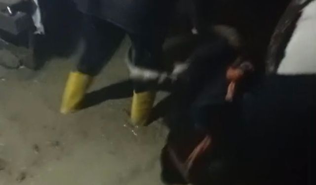 Hatay'da sağanak; dere taştı, evi ve ahırı su bastı