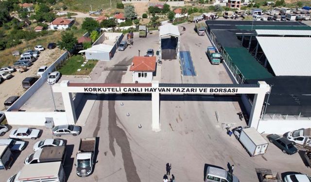 Mersin e komşu Korkuteli hayvan pazarı yeniden açılacak