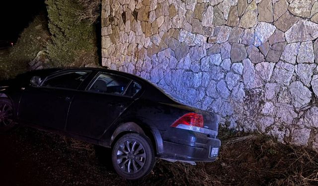 Otomobil şarampole düştü: 3 yaralı