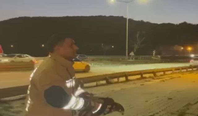 Tellere takılan şahin kurtarıldı