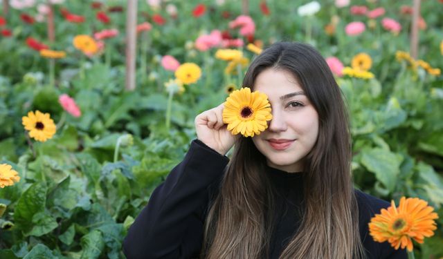 Türk çiçeğinde 160 milyon dolarlık ihracat rekoru