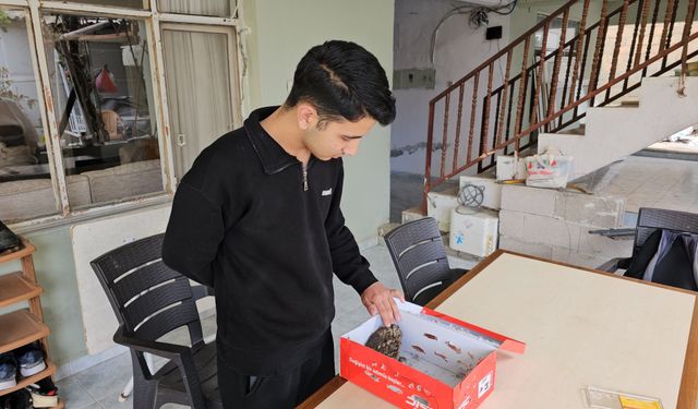 14 yaşındaki Berk, yaralı bulduğu İshak kuşunun yaşama tutunmasını sağladı