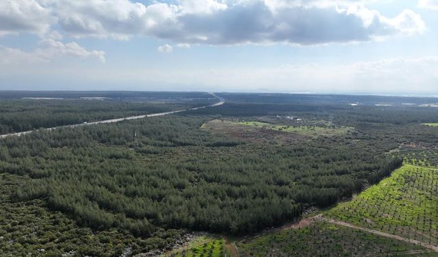 '81 İlde 81 Orman' projesi ilkbahar dikimleriyle devam ediyor