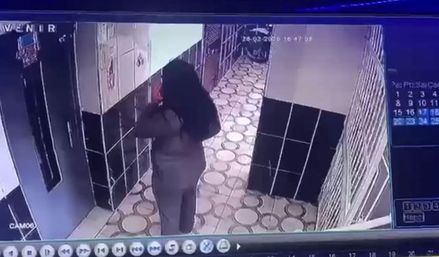 Adana merkezli 3 ilde dolandırıcılık operasyonunda 8 tutuklama