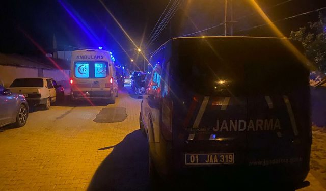 Adana'da bir evin deposunda çıkan yangından 40 güvercin öldü