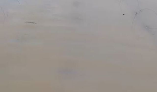 Adana'da tarım arazileri su altında kaldı; 'Üreticiler yeniden ekim yapacak'