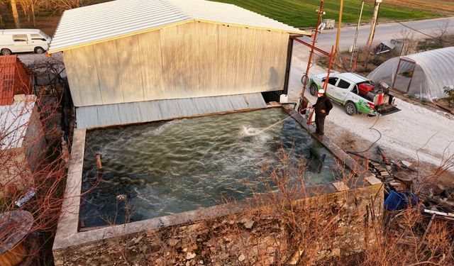 Bucak'ta sivrisinekle mücadele