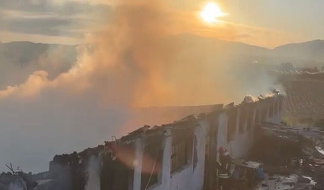 Çiftlik yangınında çok sayıda hayvan telef oldu