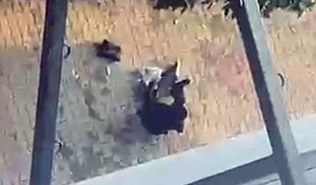 Çocuklarının gözü önünde eski eşi tarafından tabancayla bacaklarından vuruldu