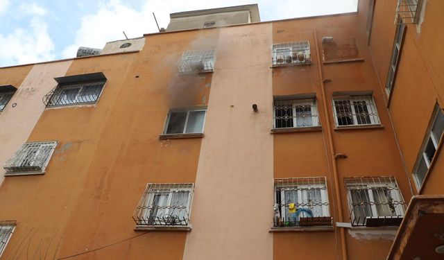 İtfaiye ekipleri yangında hamile kediyi kurtardı