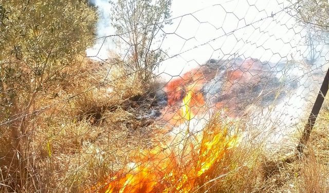 Kadirli'de orman yangını söndürüldü